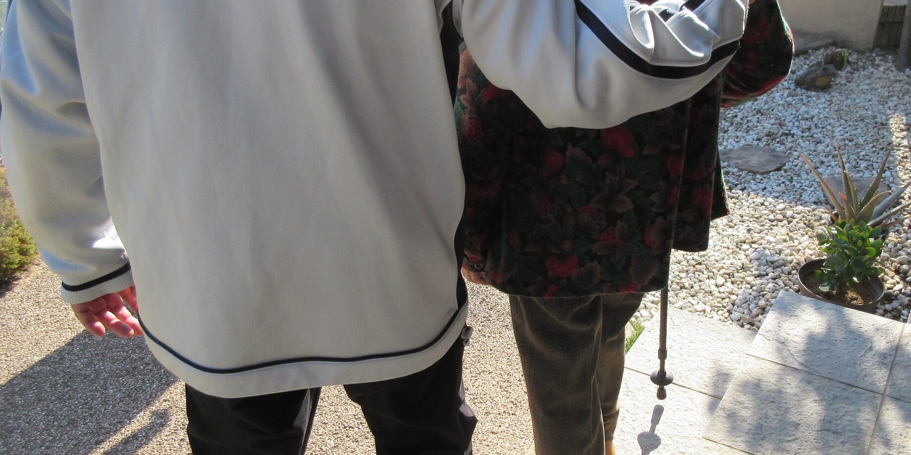 post_399-panorama-c9fe4d1c74cf26